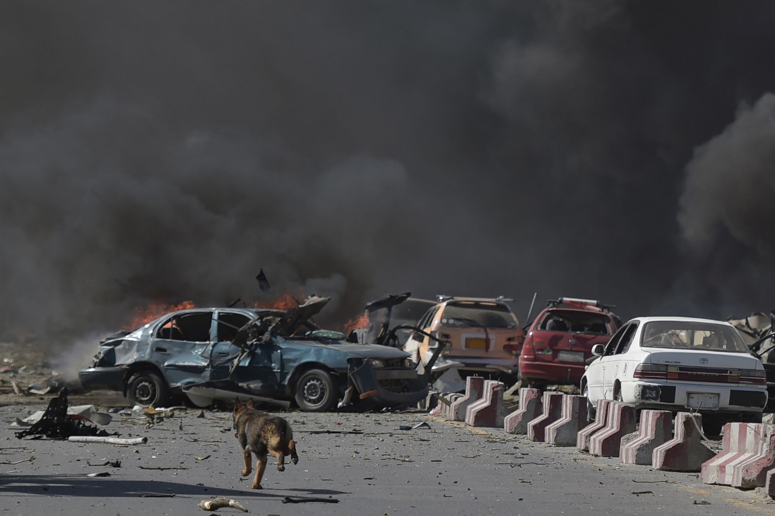 PHOTO: A dog is seen running at the site of a car bomb attack in Kabul, May 31, 2017.

