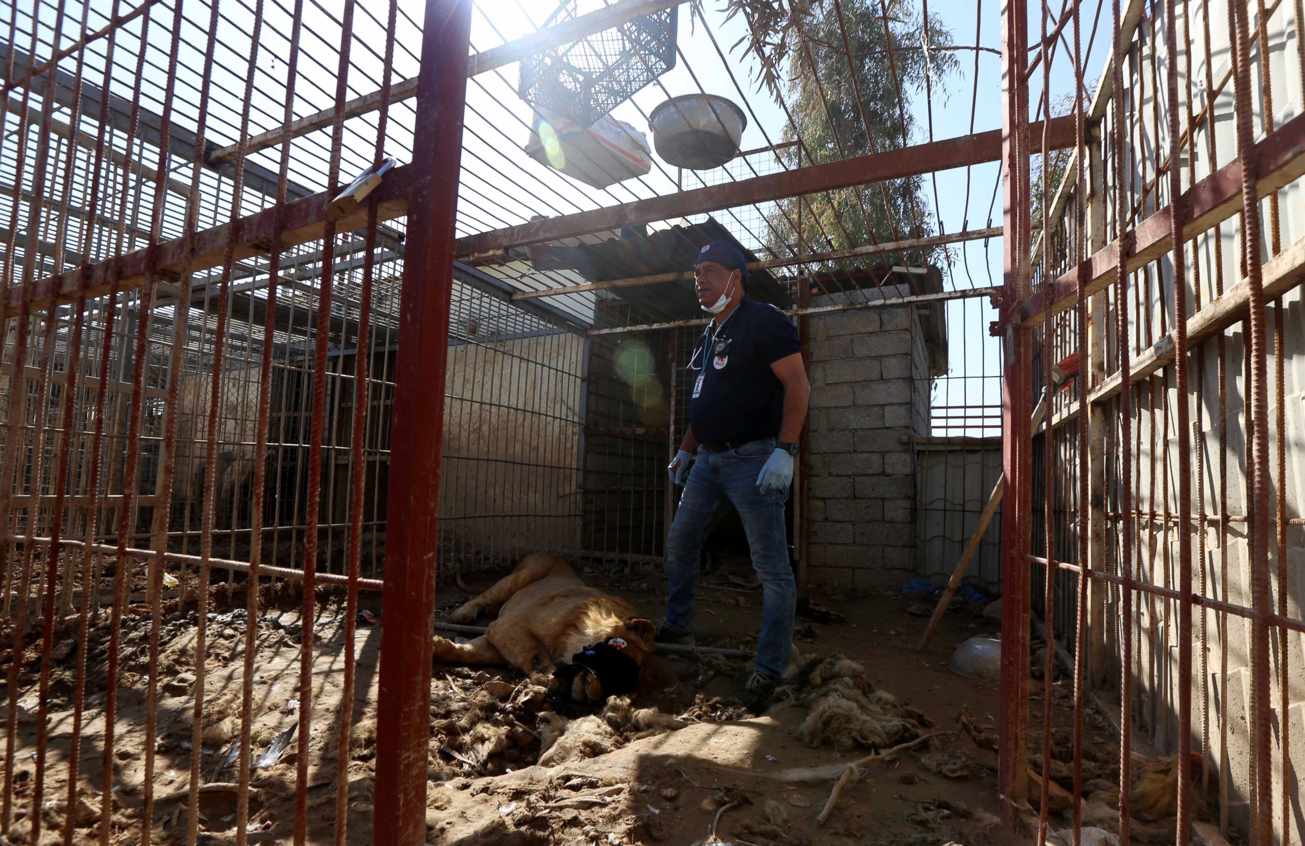 PHOTO: Veterinarian Amir Khalil enters the cage of a lion that was abandoned in the Montazah al-Morour Zoo in eastern Mosul, Iraq on Feb. 21, 2017.