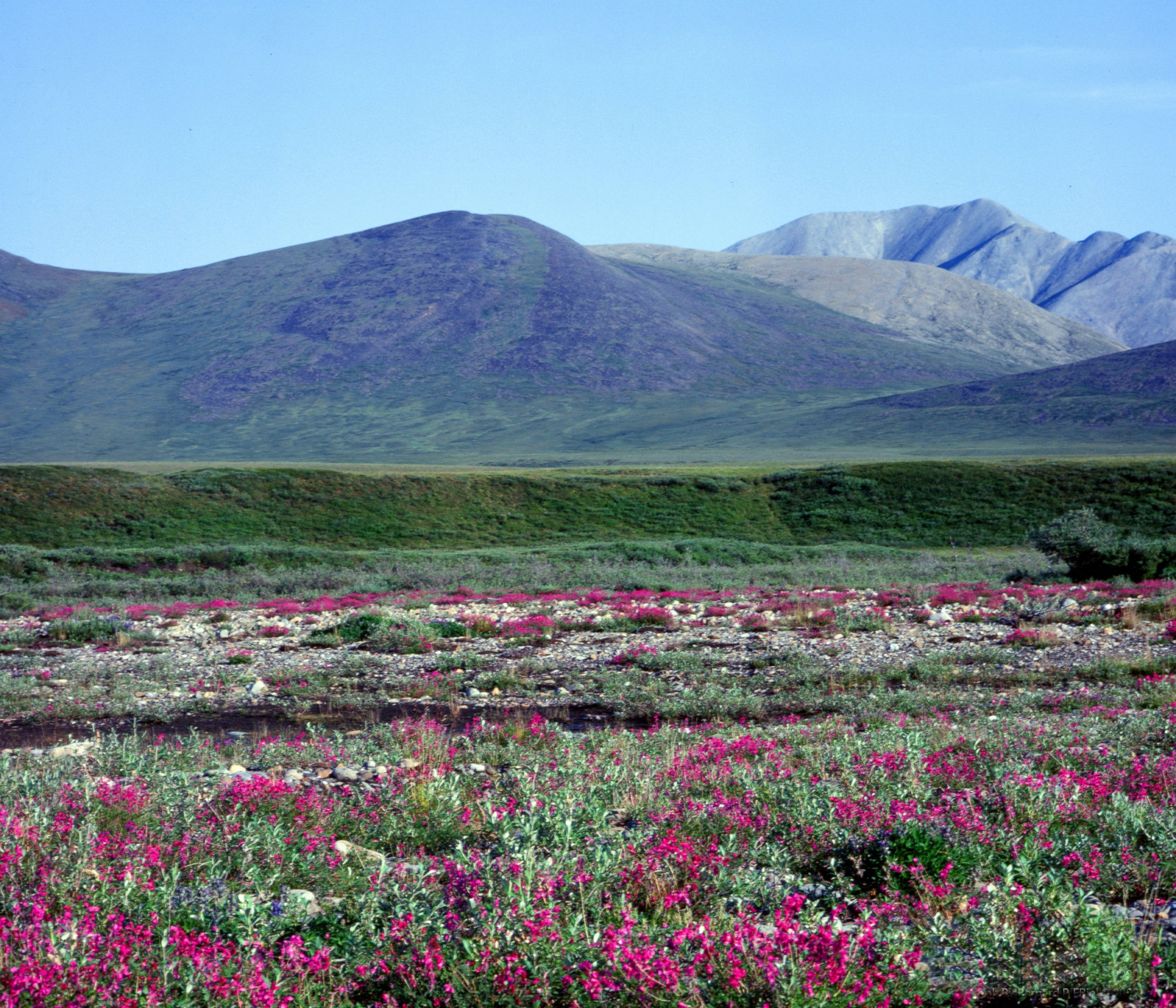 PHOTO: Sunset Pass,  Alaska.