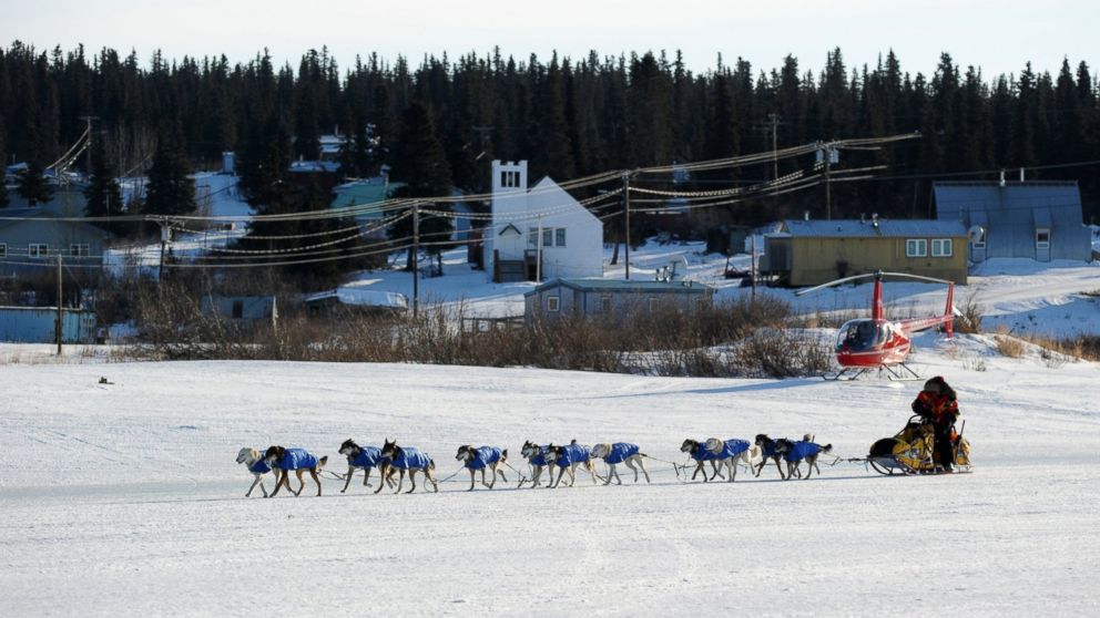 PHOTO: Mitch Seavey arrives at the White Mountain, Alaska, checkpoint during the Iditarod Trail Sled Dog Race on  March 10, 2014. 