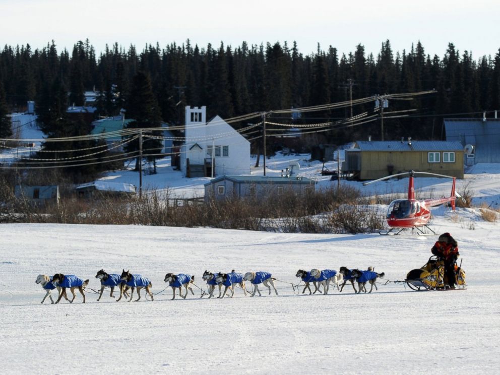 PHOTO: Mitch Seavey arrives at the White Mountain, Alaska, checkpoint during the Iditarod Trail Sled Dog Race on March 10, 2014.