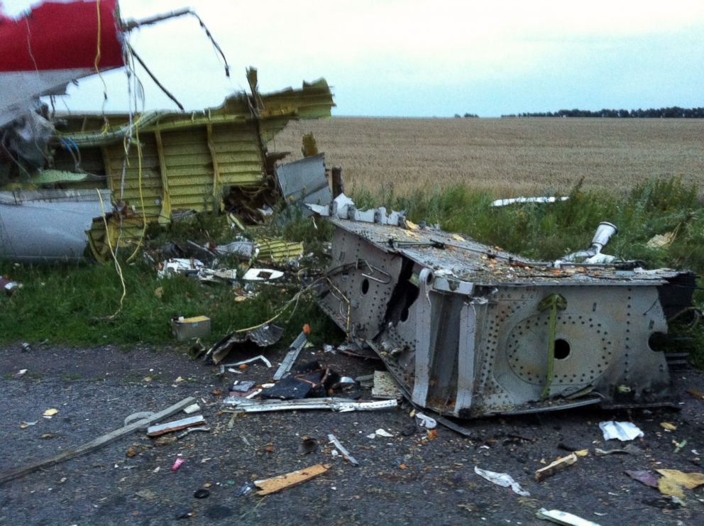 PHOTO: Wreckage of the Malaysian Airlines plane carrying 295 people from Amsterdam to Kuala Lumpur after it crashed, in east Ukraine, July 17, 2014. 