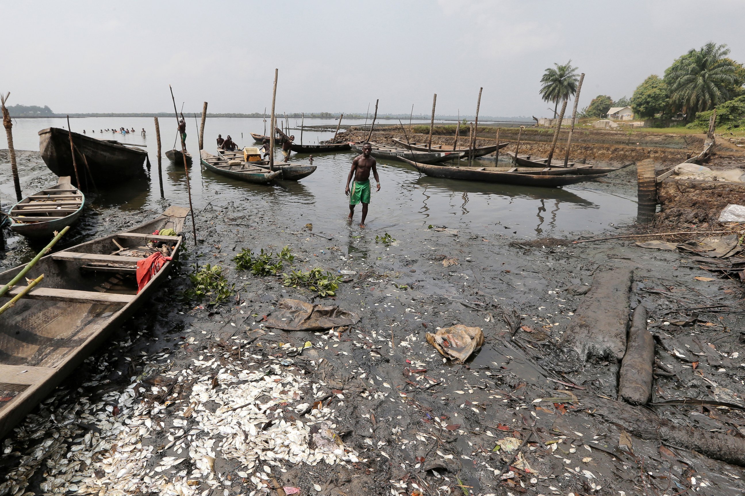 PHOTO: Dead fish lie on the polluted shoreline near a house under construction in Bodo, Nigeria, Jan. 13, 2016.