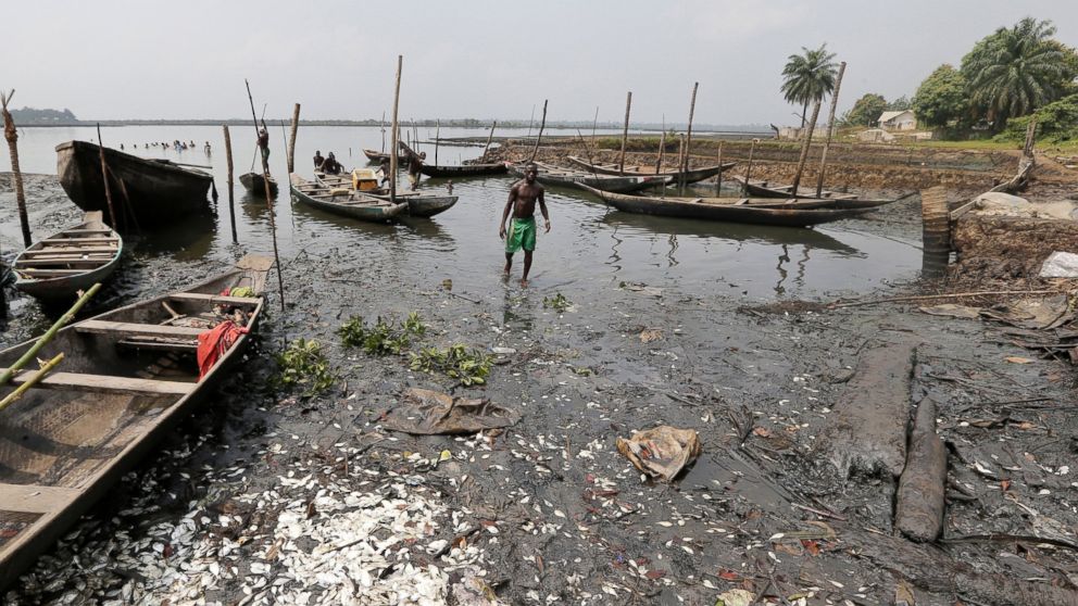 PHOTO: Dead fish lie on the polluted shoreline near a house under construction in Bodo, Nigeria, Jan. 13, 2016.