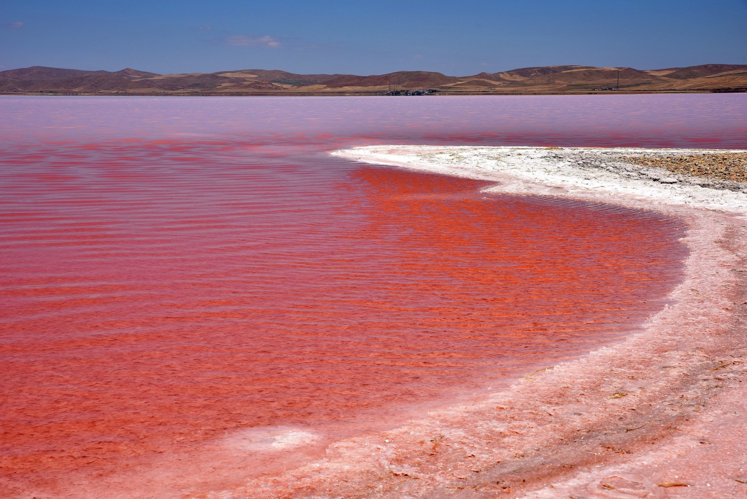 Вода стала розовой. Соленое озеро туз. Озеро туз Турция. Озеро Натрон. Солёное озеро (туз-кёль, с. Шор-Булак).