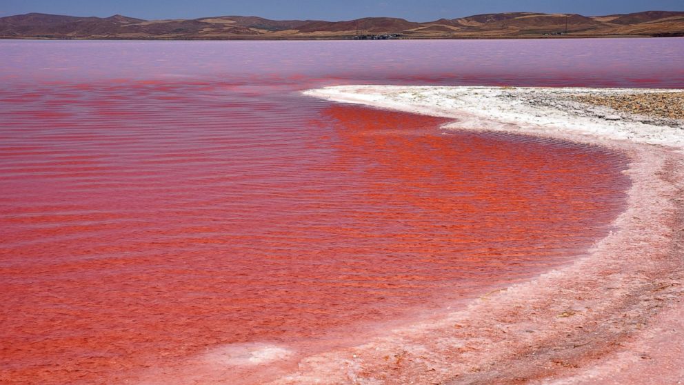 Salt Lake in Turkey Turns Red Algae Bloom - ABC News