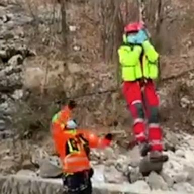 Rescuers found and brought a man to safety after he was stranded in the Alps for seven nights with his dog.