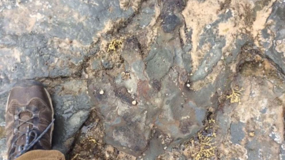 Officials found the fossilized dinosaur footprint at Bunurong Marine Park in Victoria, Australia chipped off by vandals.