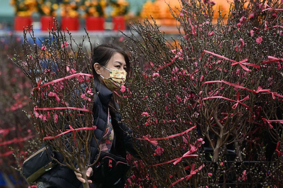 PHOTO: A woman buys plants and flowers on the opening day of the flower markets in Hong Kong on Jan. 16, 2023, ahead of the Lunar New Year of the Rabbit, which falls on Jan. 22.