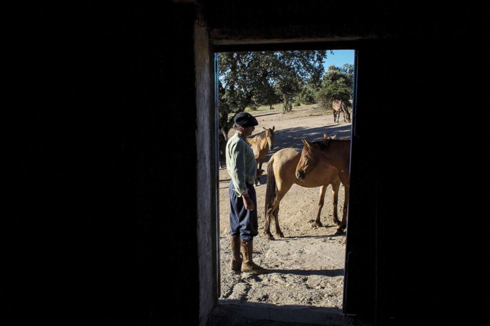 PHOTO: Fernando Noailles, emotional therapist, stands with his horses in Guadalix de la Sierra, Spain, July 27, 2017.