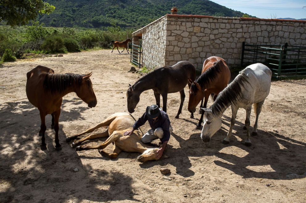 PHOTO: Fernando Noailles, emotional therapist, caresses one of his horses in Guadalix de la Sierra, outside Madrid, Spain, May 31, 2016. Noailles uses his animals to help people suffering from stress and anxiety.