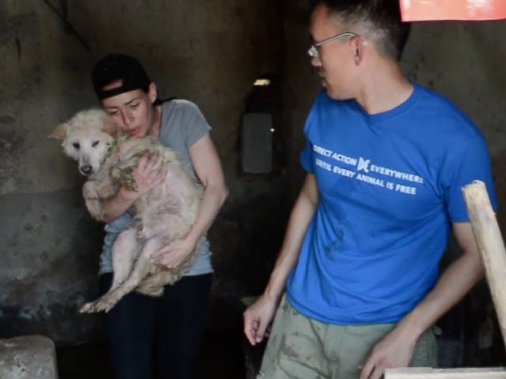 PHOTO: Julianne Perry and Wayne Hsiung of Direct Action Everywhere carry a dog to safety.