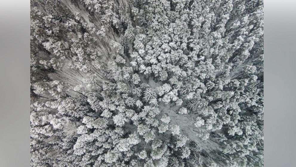 PHOTO:Lithuanian winter landscape seen from the sky. 