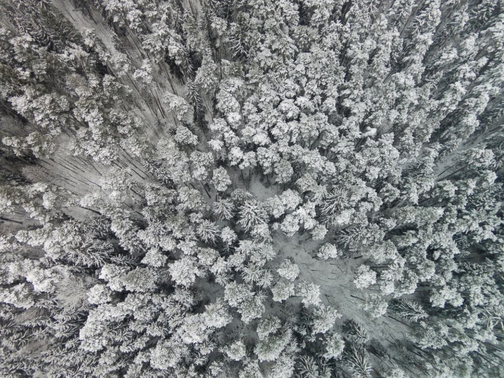 PHOTO:Lithuanian winter landscape seen from the sky. 