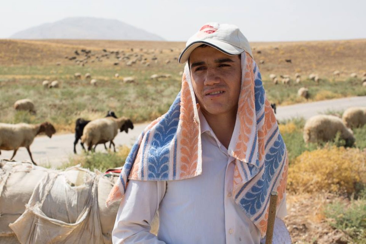 "I'm a student. My parents didn't want me sitting around the house all summer, so they made me be a shepherd." Kalak, Iraq.