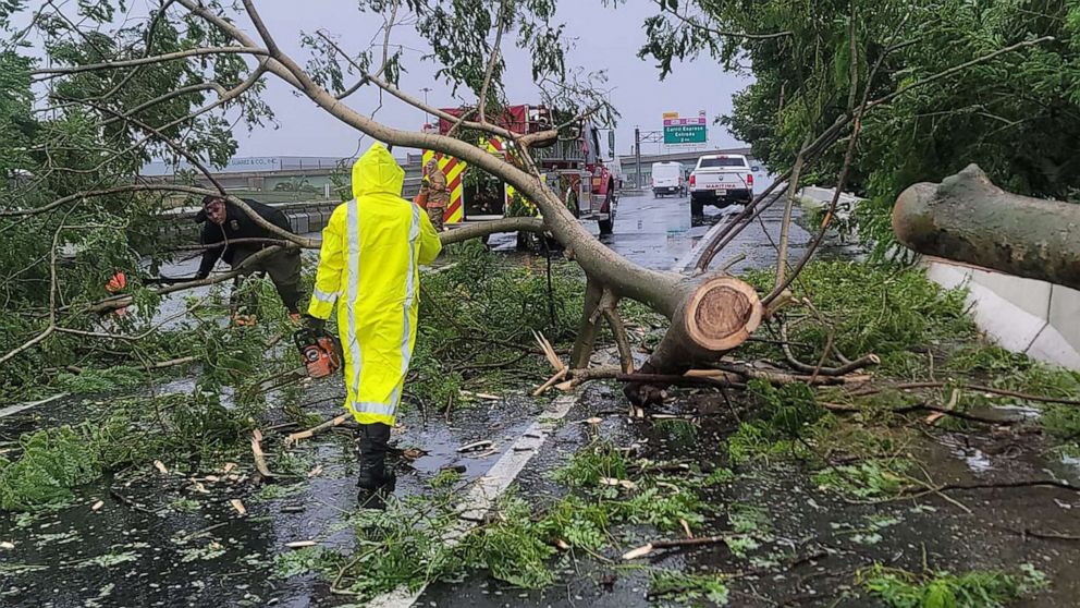 PHOTO: Firefighters work to remove a fallen tree from the road in Vega Baja, Puerto, Rico, Sept. 18, 2022.