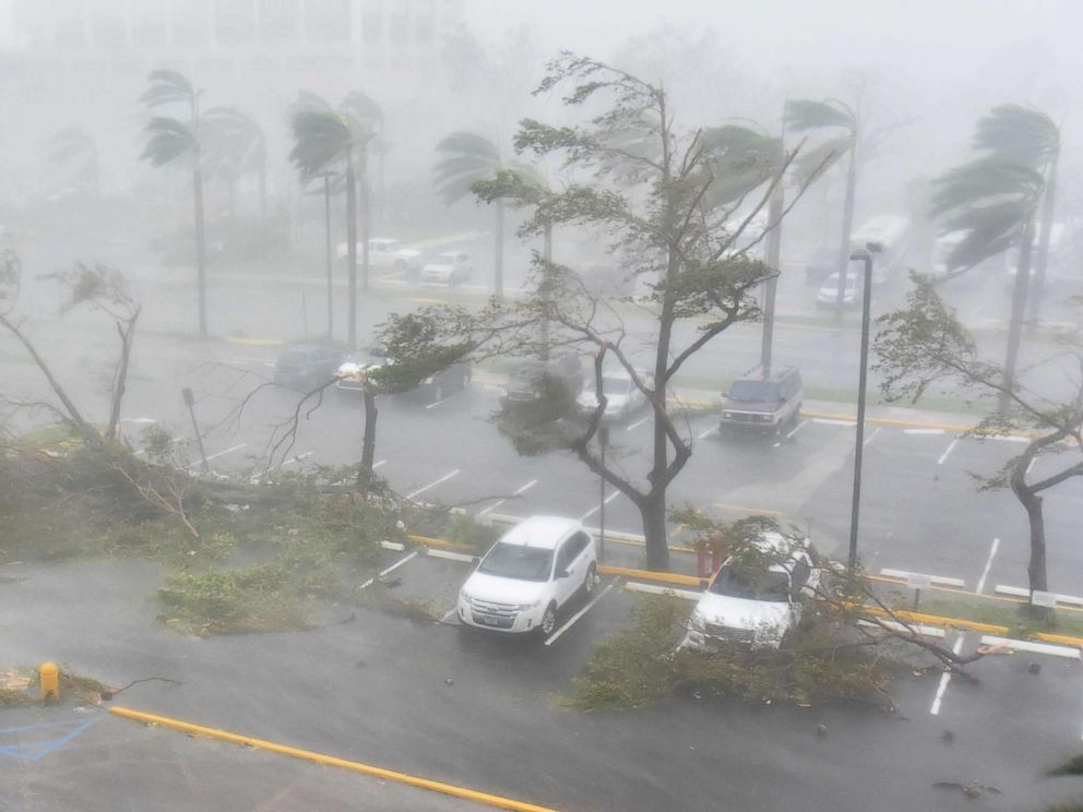 PHOTO: Trees are toppled in a parking lot at Roberto Clemente Coliseum in San Juan, Puerto Rico, Sept. 20, 2017, during the passage of the Hurricane Maria.