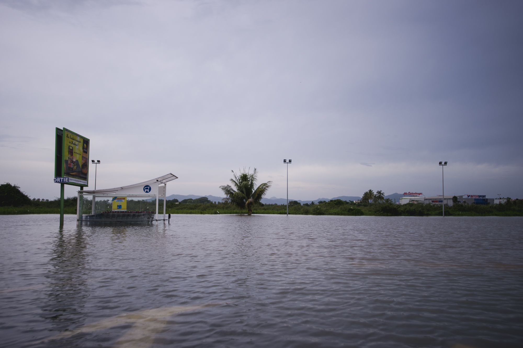 Island Of Martinique Picture | Hurricane Maria Pummels Puerto Rico ...