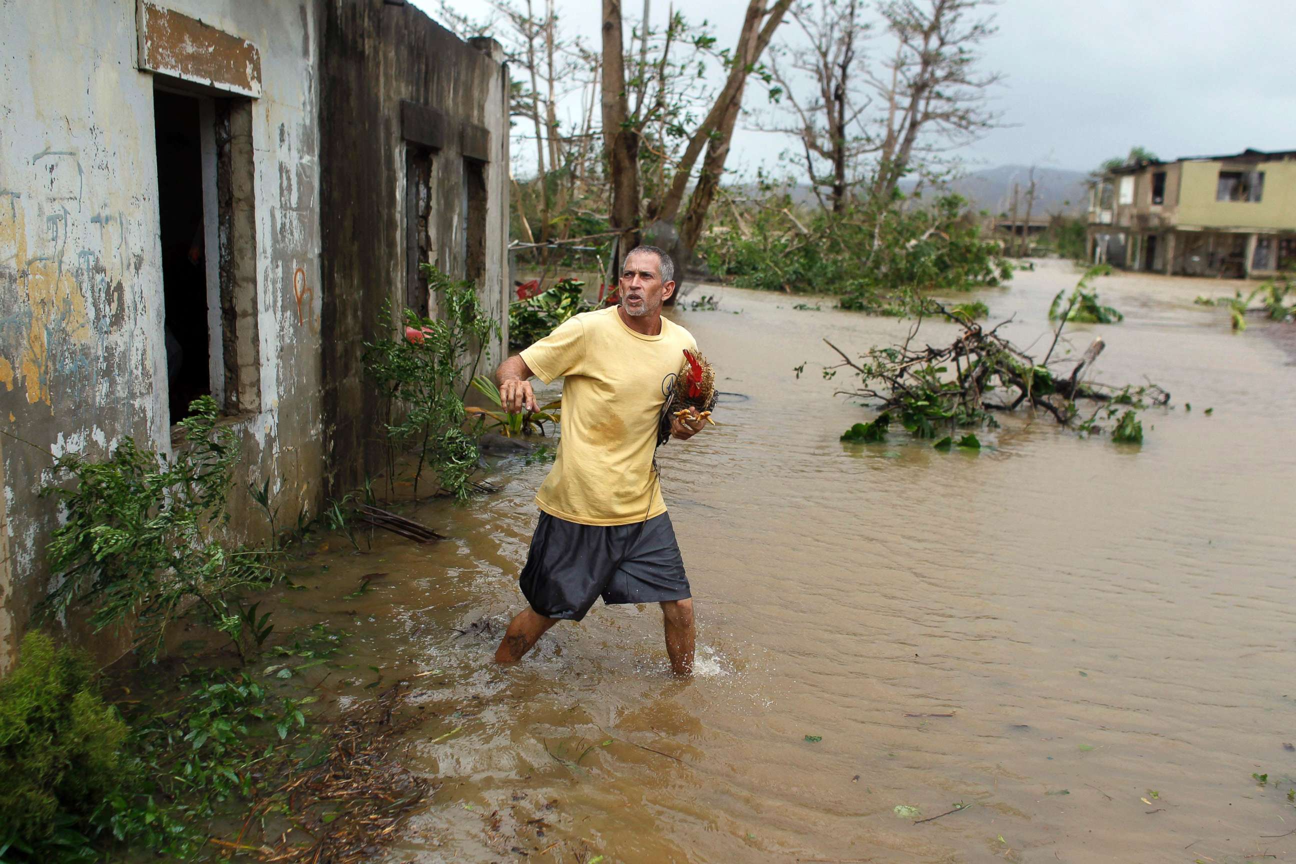 PHOTO: A man rescues a rooster from his flooded garage as Hurricane Maria hits Puerto Rico in Fajardo, on Sept. 20, 2017.
