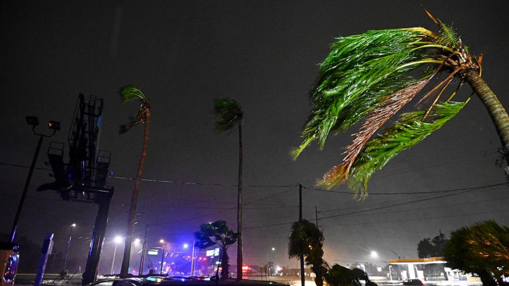 PHOTO: Palm trees bend in the wind after Hurricane Milton made landfall in Brandon, Fla., Oct. 9, 2024. 