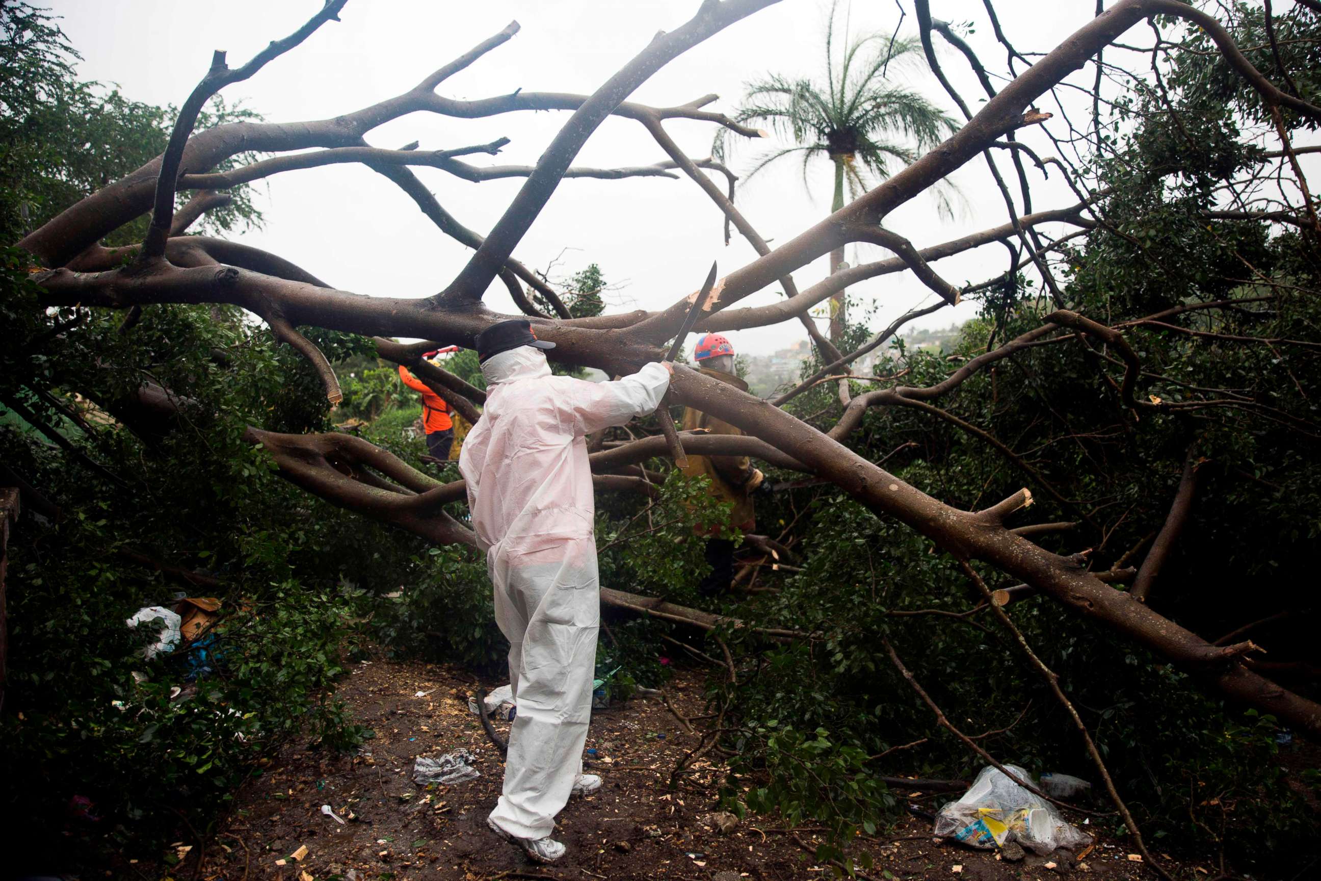 PHOTO: Fire and rescue members cut the branches of a tree that fell under the heavy rain caused by the Isaias Storm in Santo Domingo, on July 30, 2020.