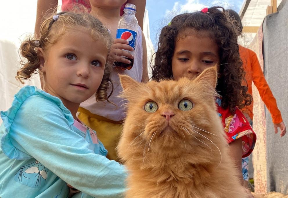 PHOTO: Displaced Palestinian children, who fled their homes due to Israeli strikes, play with a cat at a tent camp in Khan Younis in the southern Gaza Strip, Nov. 8, 2023.