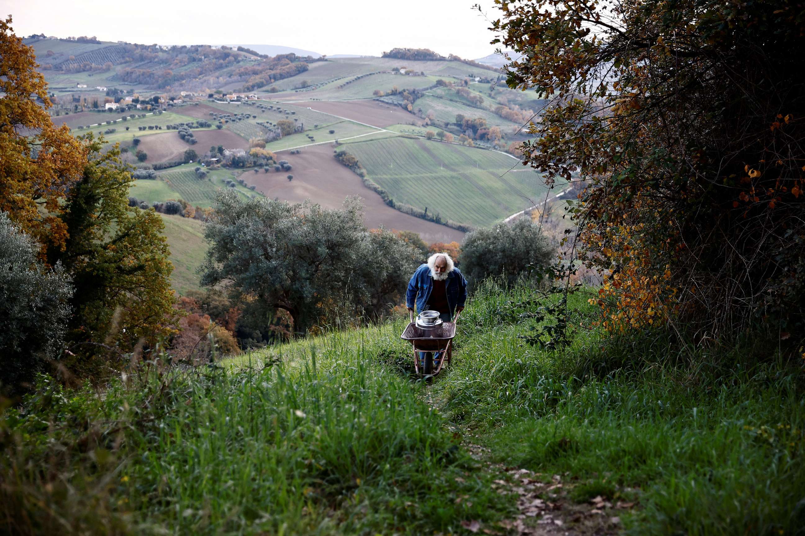 PHOTO: Fabrizio Cardinali, 72, carries an oil container from his house in the woods of the small town of Cupramontana, Ancona, Marche, Italy, Dec. 12, 2022.