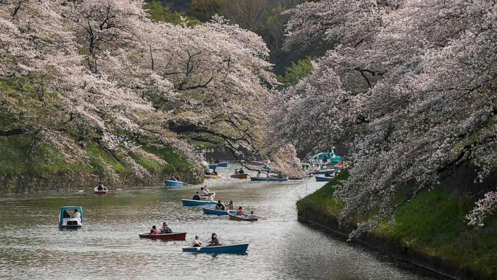 PHOTO: People enjoy the cherry blossoms on Chidorigafuchi Moat, northwest of the Imperial Palace in Tokyo, Japan, March 30, 2021.