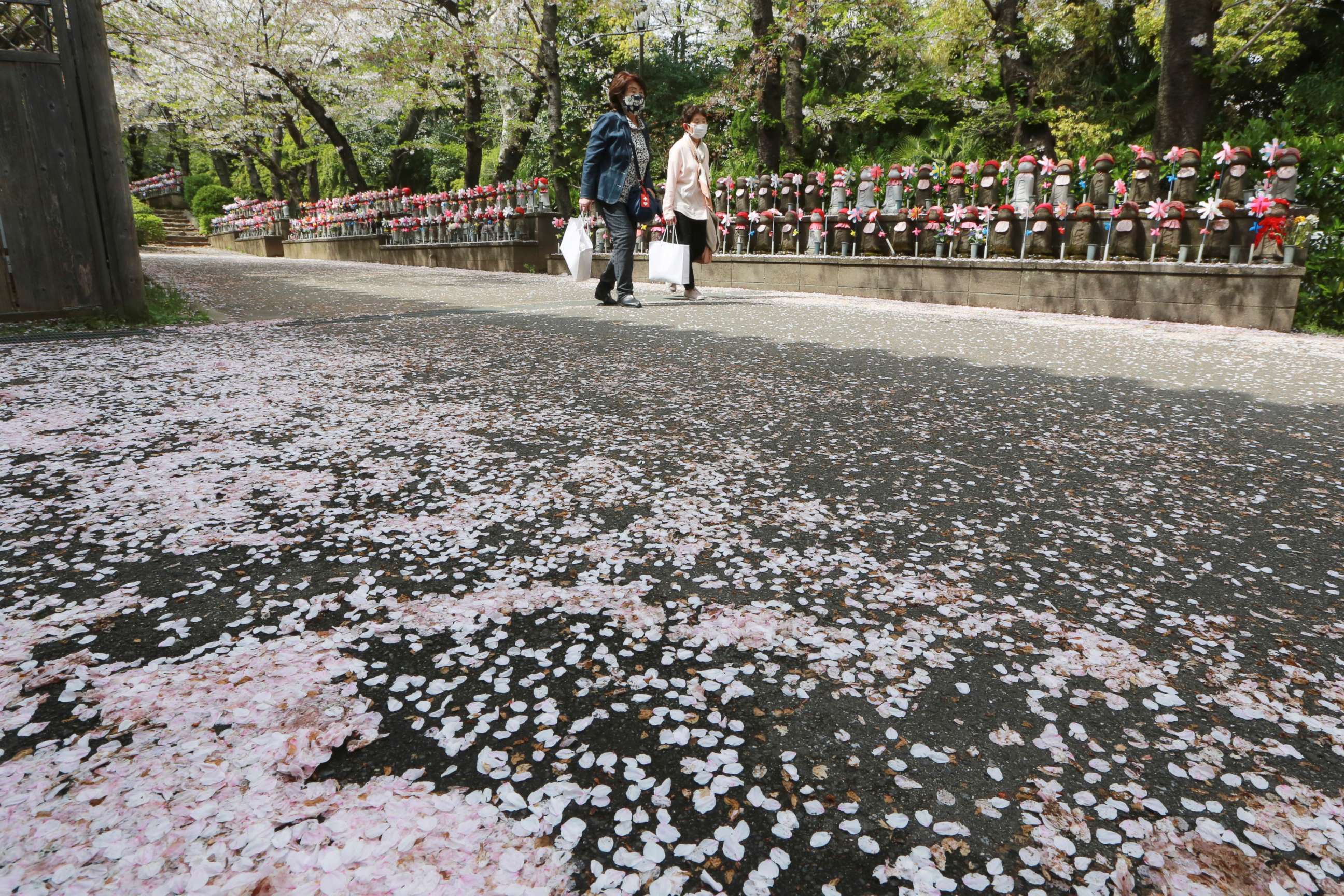 PHOTO: People walk under cherry blossoms in Tokyo, March 30, 2021.