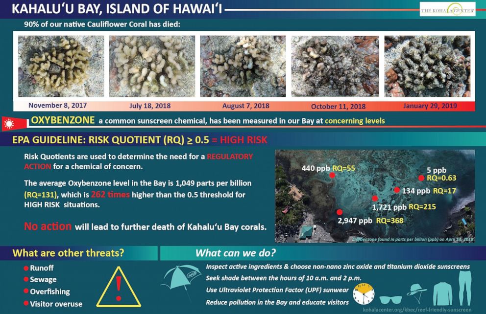 PHOTO: Scientists determined that Kahalu'u Bay in Hawaii had an oxybenzone concentration 262 times higher than the threshold for high risk situations.
