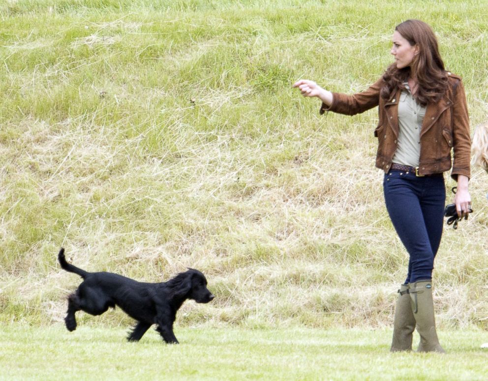 Catherine, Duchess Of Cambridge is seen with her dog Lupo at the Tusk Charity Polo Match at Beaufort Polo Club near Tetbury.PHOTO: 