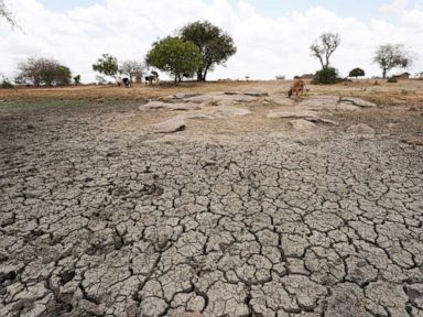 Millions of lives at risk as famine stalks Horn of Africa
