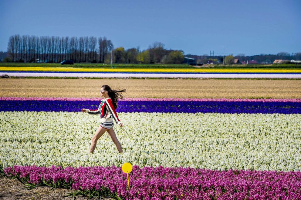 PHOTO: Visitors walking through fields of blossoming tulips in Keukenhof gardens, April 17, 2018, in Lisse, The Netherlands.