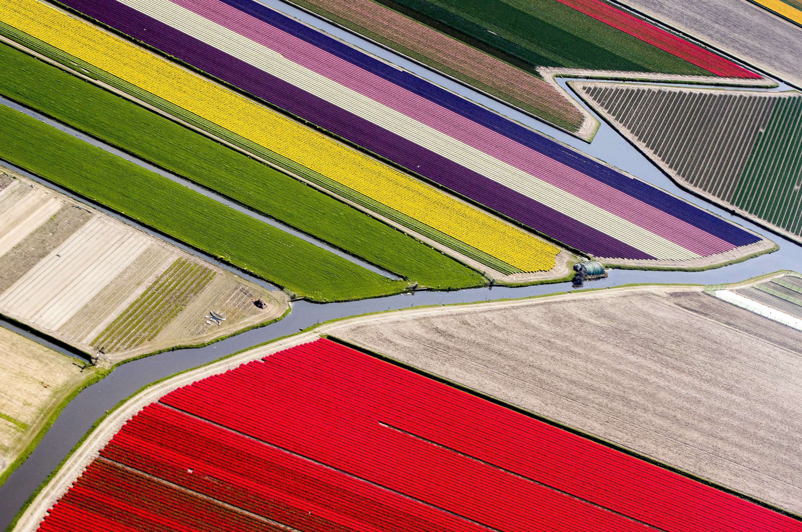 PHOTO: An aerial photograph of the blossoming bulb fields and water canals in Lisse, The Netherlands, April 20, 2018.