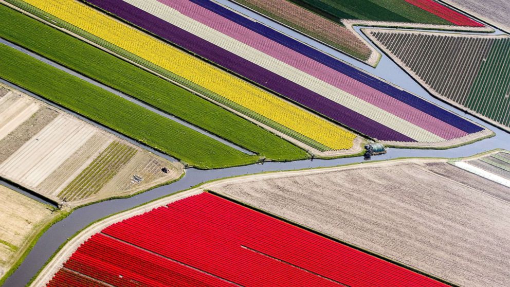 PHOTO: An aerial photograph of the blossoming bulb fields and water canals in Lisse, The Netherlands, April 20, 2018.