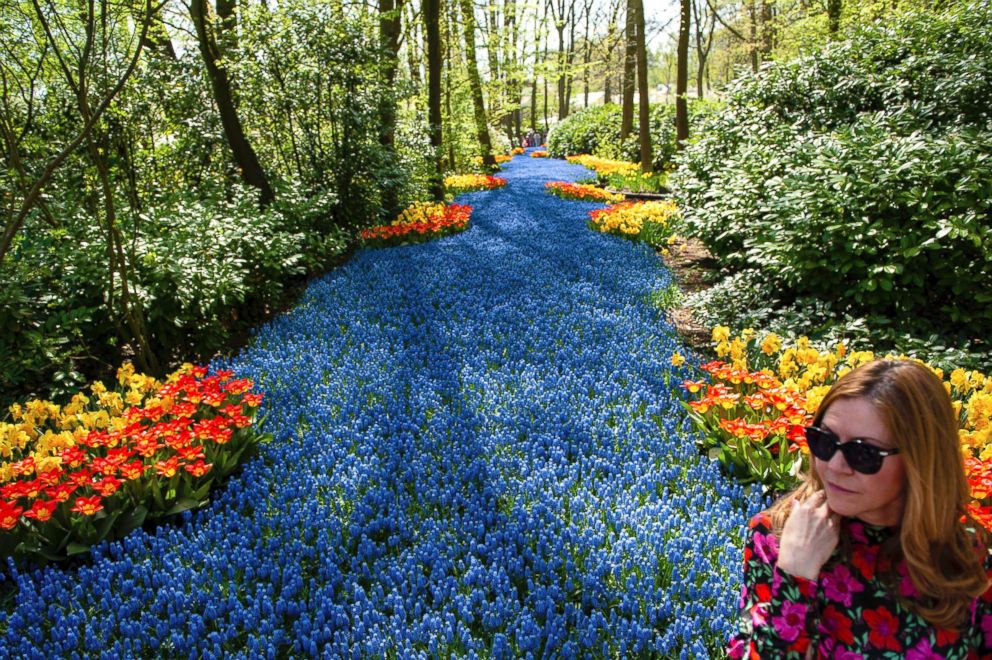 PHOTO: Keukenhof, one of the world's largest flower gardens in Lisse, The Netherlands, is also known as the "Garden of Europe," April 21, 2018.