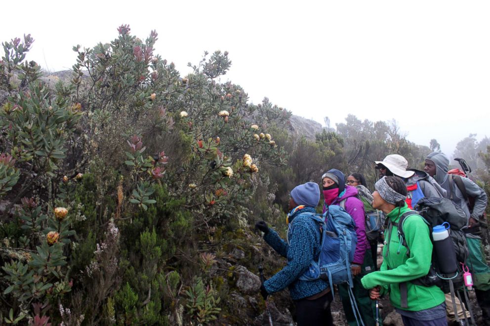   PHOTO: The team emerged from the forest in the giant heather area and on the open moor. The geological features of the ancient volcanic caldera fascinated him 