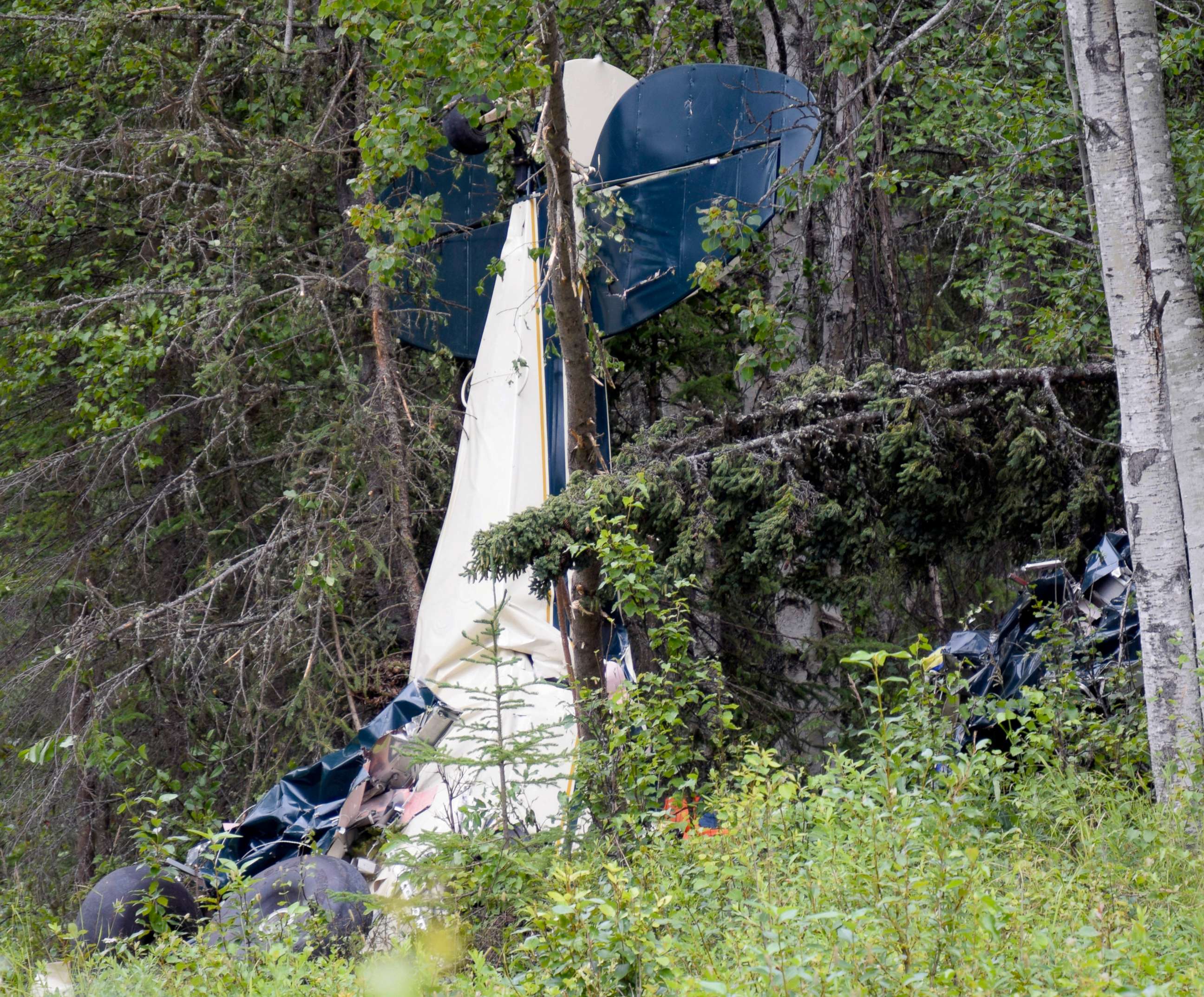 PHOTO: A plane rests in brush and trees after a midair collision outside of Soldotna, Alaska, on July 31, 2020. Seven people, including an Alaska state lawmaker,died when two small airplanes collided in midair near the airport on Alaska's Kenai Peninsula.