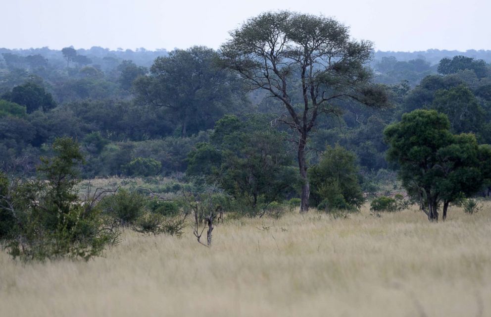 PHOTO: A file photo shows Kruger National Park in South Africa on April 16, 2017.