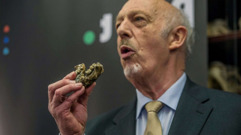 PHOTO: Palaeoanthropologist Professor Ron Clarke unveiled for the first time to the public, the Little Foot fossilised hominid skeleton at the University of the Witwatersrand in Johannesburg, Dec. 6, 2017.