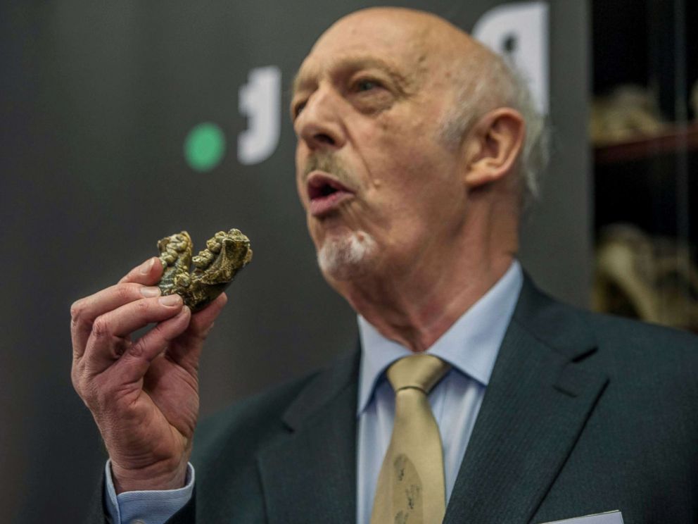 PHOTO: Palaeoanthropologist Professor Ron Clarke unveiled for the first time to the public, the Little Foot fossilised hominid skeleton at the University of the Witwatersrand in Johannesburg, Dec. 6, 2017.