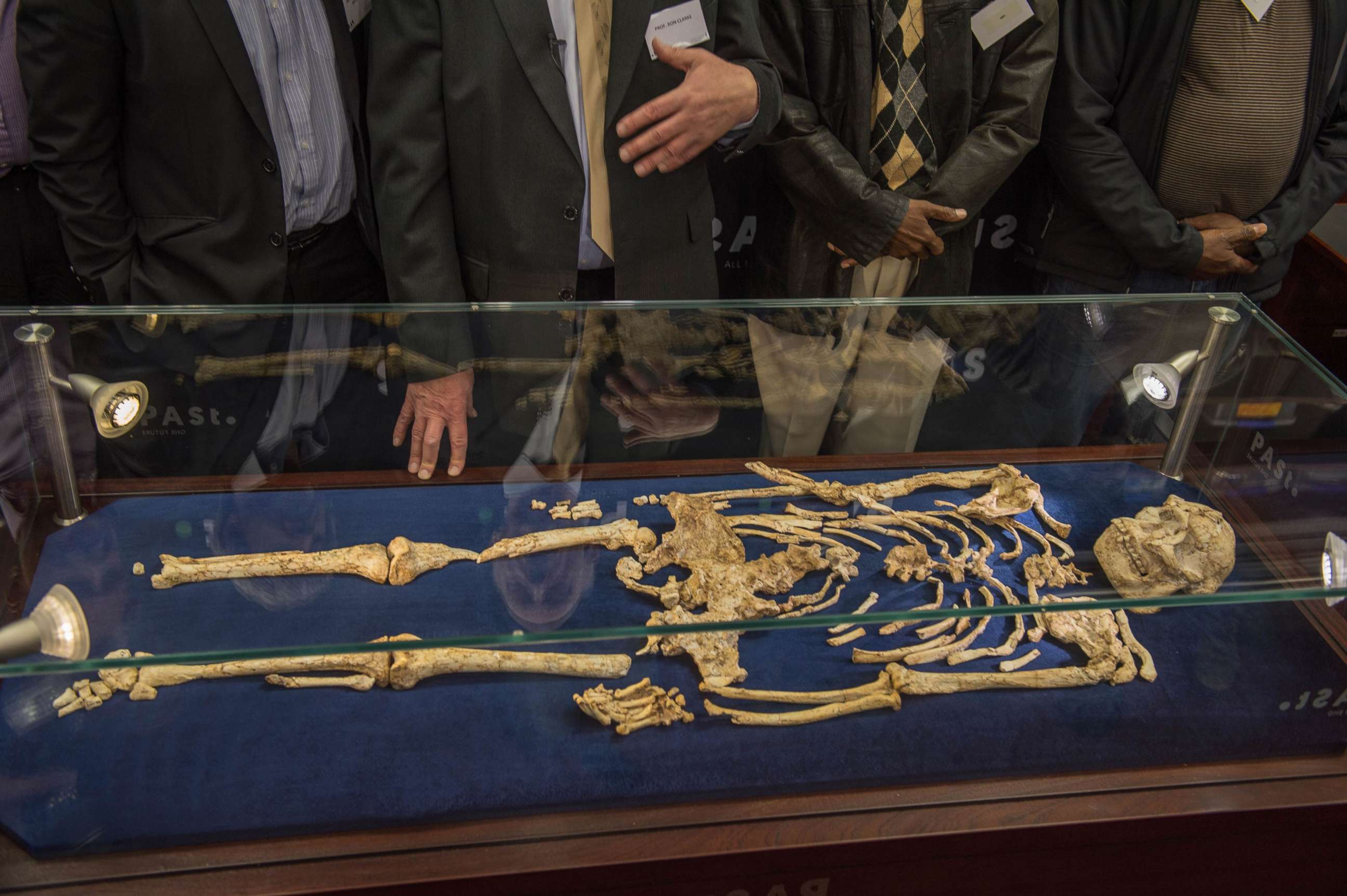 PHOTO: Palaeoanthropologist Professor Ron Clarke unveiled for the first time to the public, the Little Foot fossilised hominid skeleton at the University of the Witwatersrand in Johannesburg, Dec. 6, 2017.
