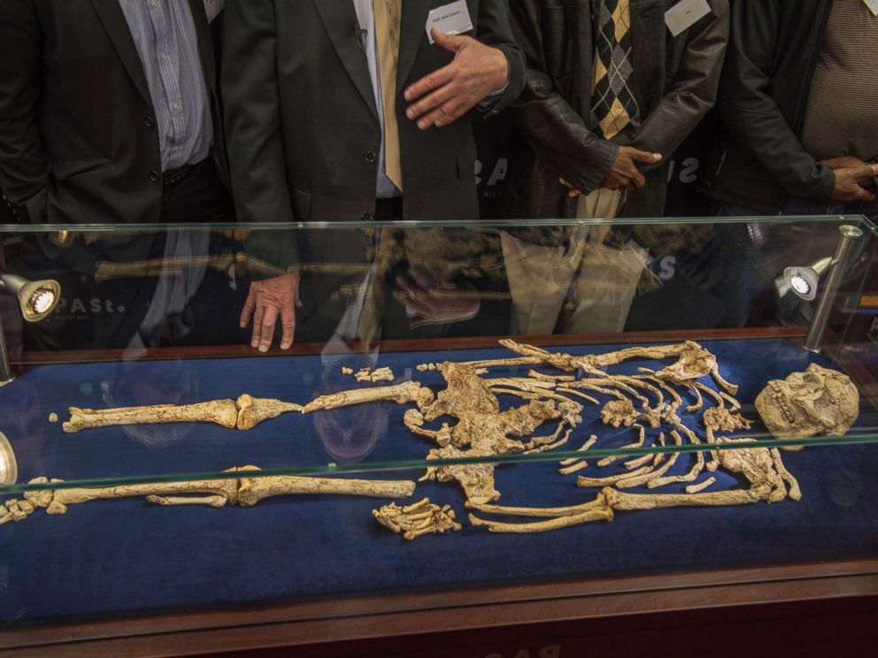 PHOTO: Palaeoanthropologist Professor Ron Clarke unveiled for the first time to the public, the Little Foot fossilised hominid skeleton at the University of the Witwatersrand in Johannesburg, Dec. 6, 2017.