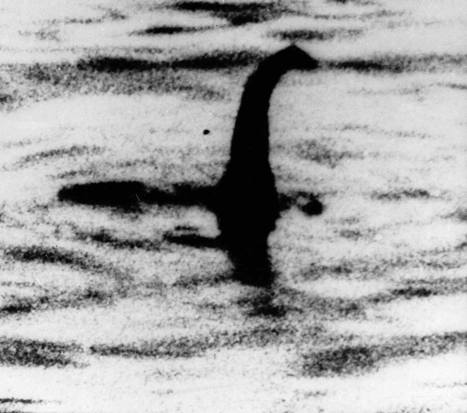 PHOTO: An undated file photo of a shadowy shape that some people say is a photo of the Loch Ness monster in Scotland.