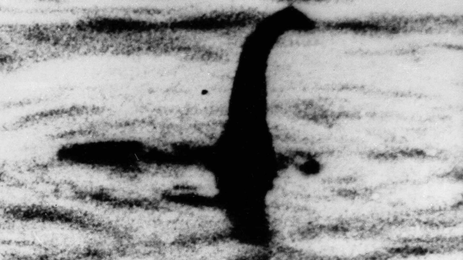 Scientists have a new theory about what the Loch Ness monster really is 
