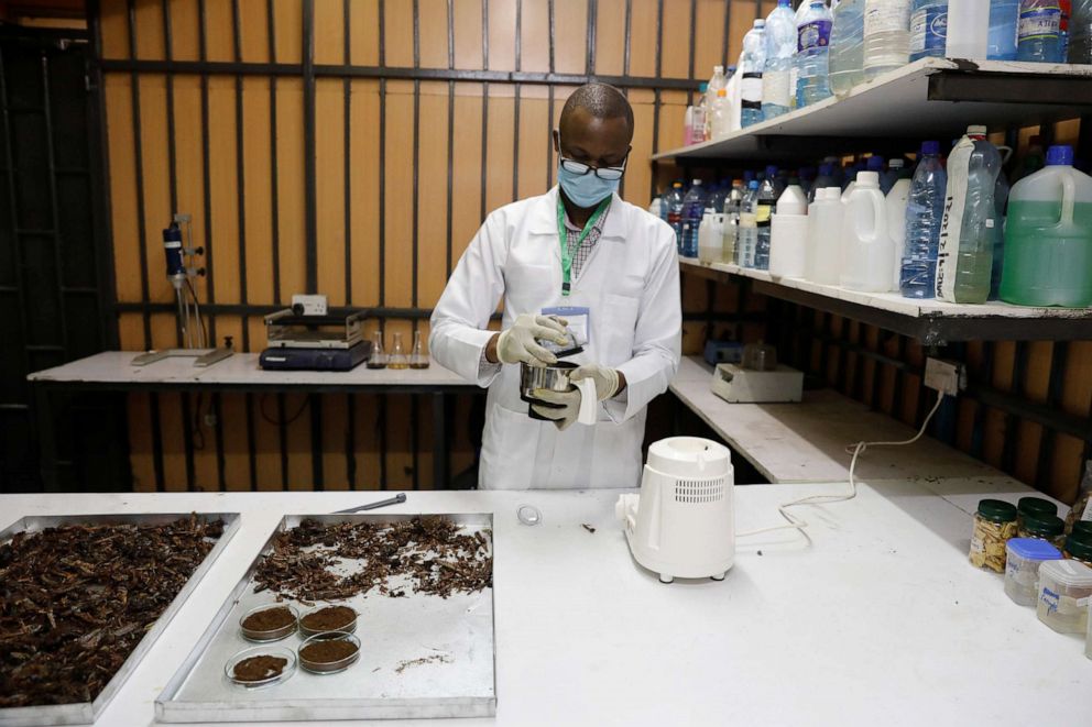 PHOTO: Philip Ouma, a laboratory manager, tests the nutritional value of desert locusts at the laboratory Spectralab, in Nairobi, Kenya, Feb. 16, 2021.