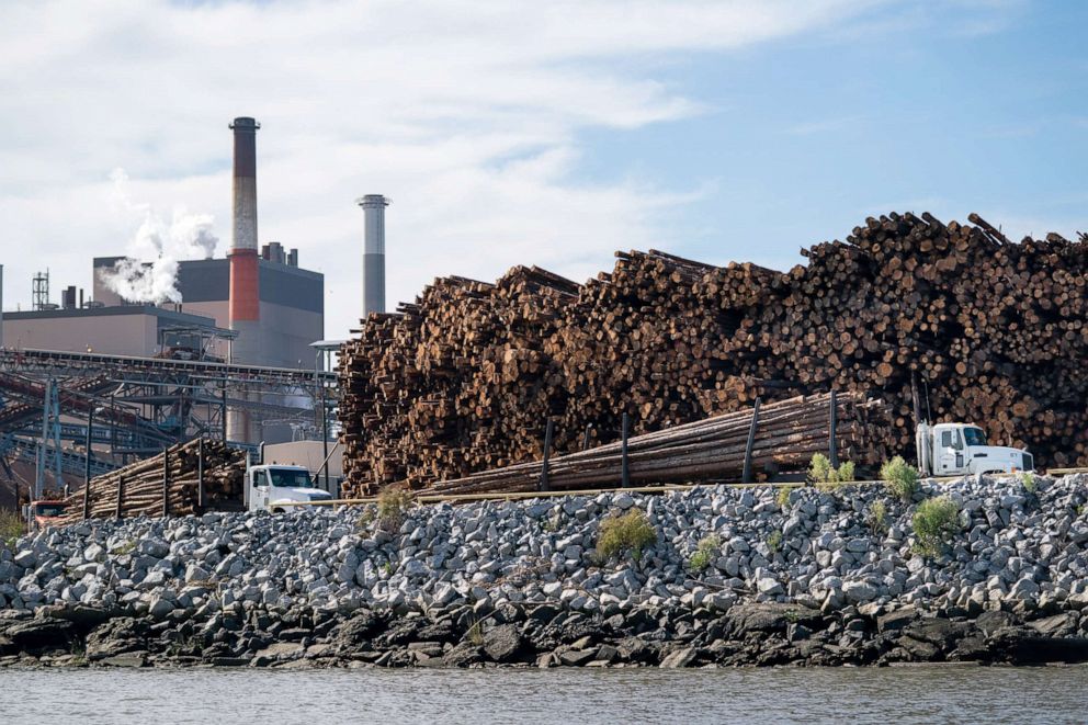 PHOTO: Logging trucks at the Port of Savannah, Nov. 12, 2021 in Savannah, Georgia. 