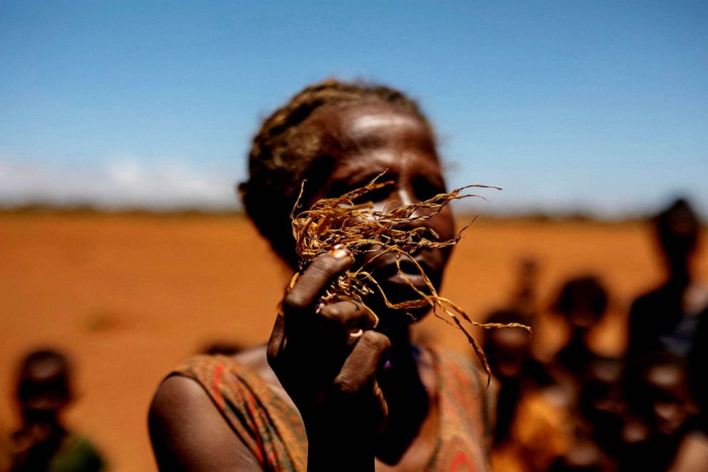 PHOTO: A woman holds part of a dead corn plant in a field covered with red sand, in Anjeky Beanatara, Madagascar, Feb. 11, 2022.
