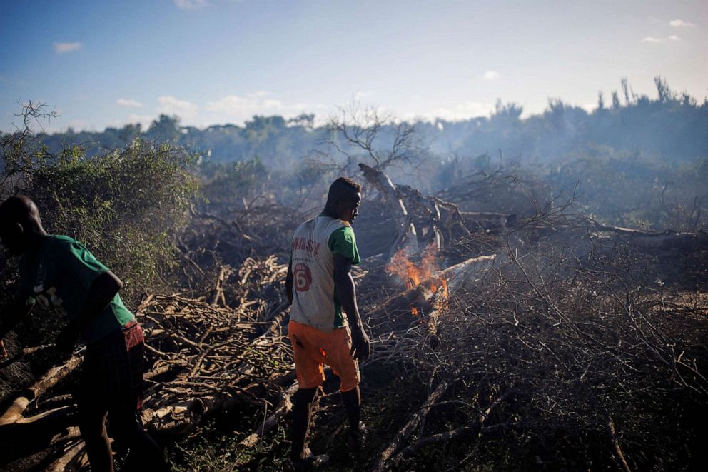PHOTO: Felix Fitiavantsoa, 20, and his brother start a fire in a wooded area in order to start cultivating it, in the Tsihombe commune, Madagascar, Feb. 13, 2022.