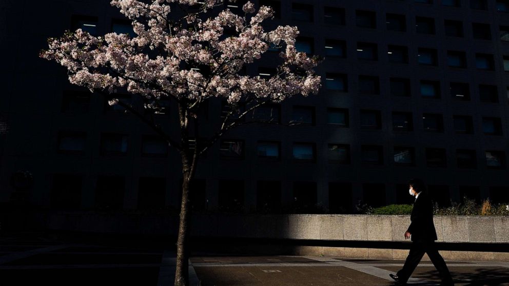 PHOTO: A man wearing a face mask walks past a cherry tree in Tokyo, Japan, on April 6, 2020.
